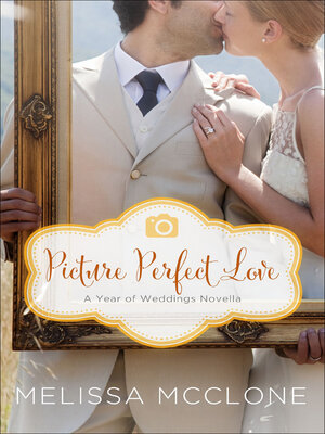 cover image of Picture Perfect Love
